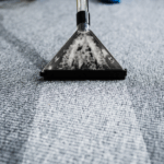 Keep Your Carpets Clean: 4 Essential Steps for a Healthier Home